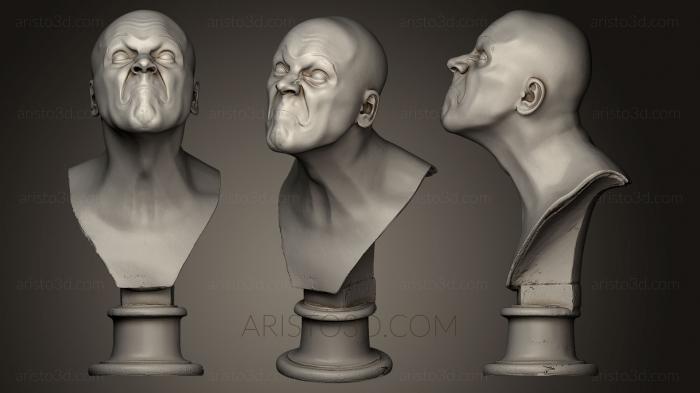 Busts and heads antique and historical (BUSTA_0441) 3D model for CNC machine